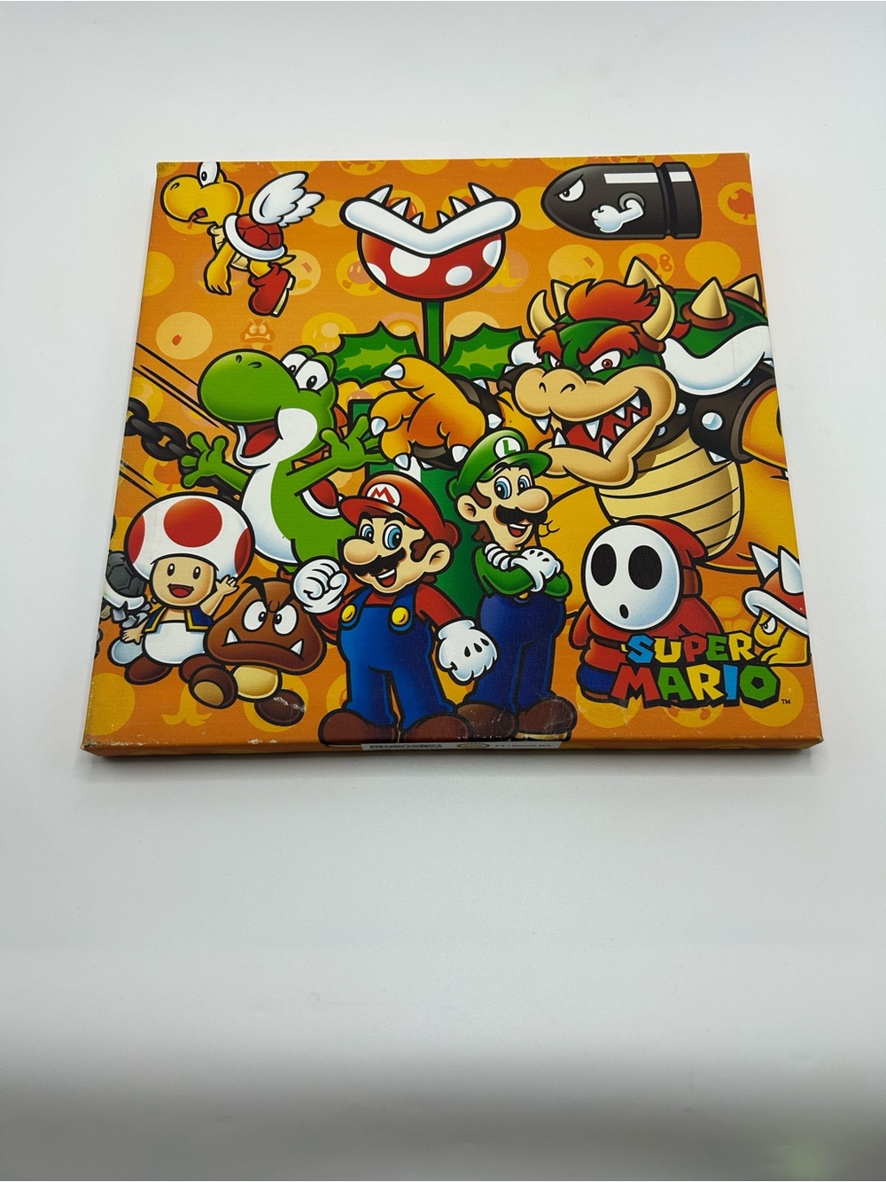 Super Mario Bros 2019 Nintendo 12”x12” Canvas